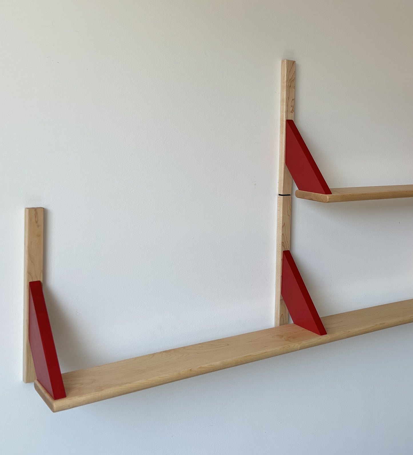 NARROW wall mounted bookshelves